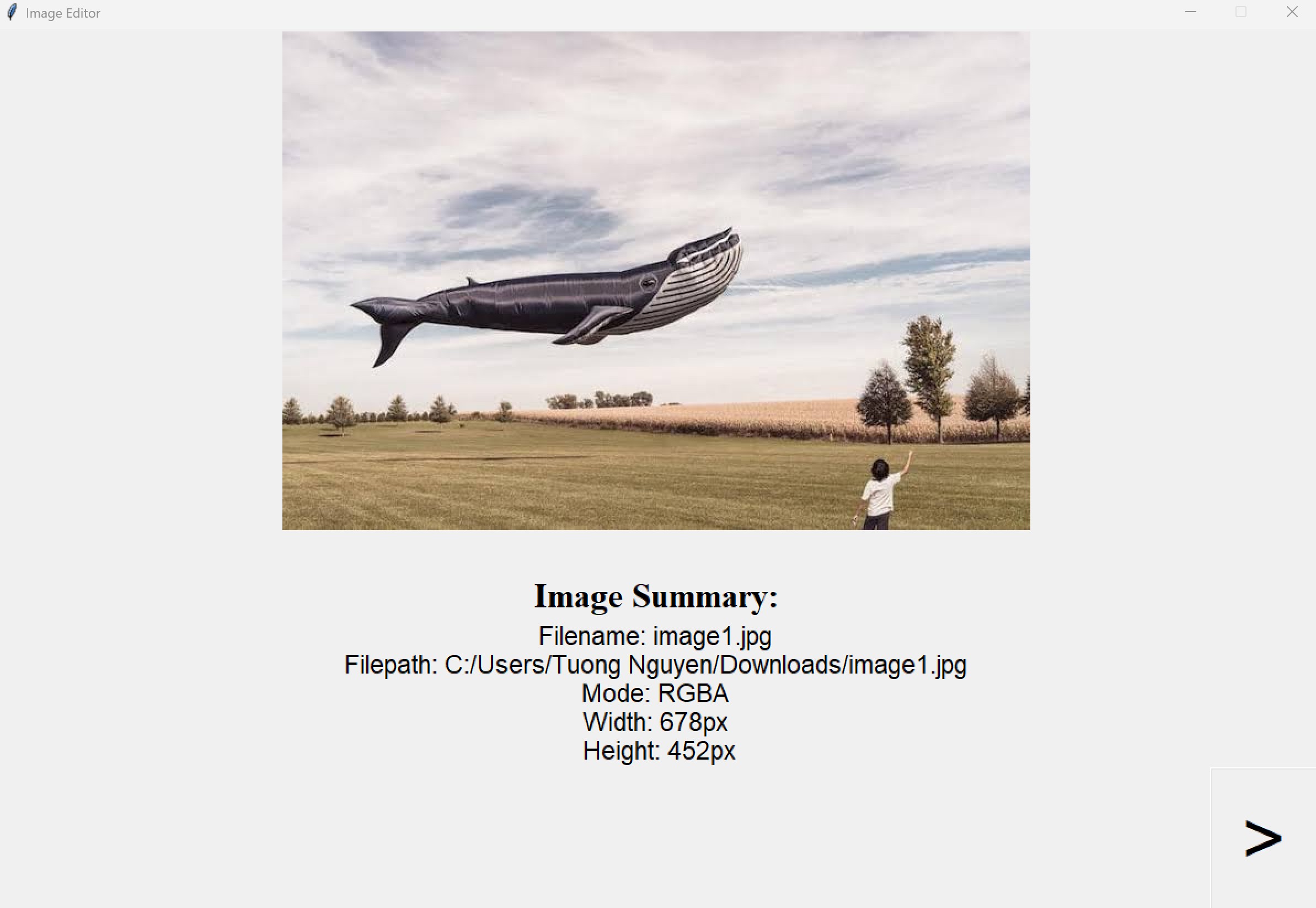 Image Editor Image Summary Screen