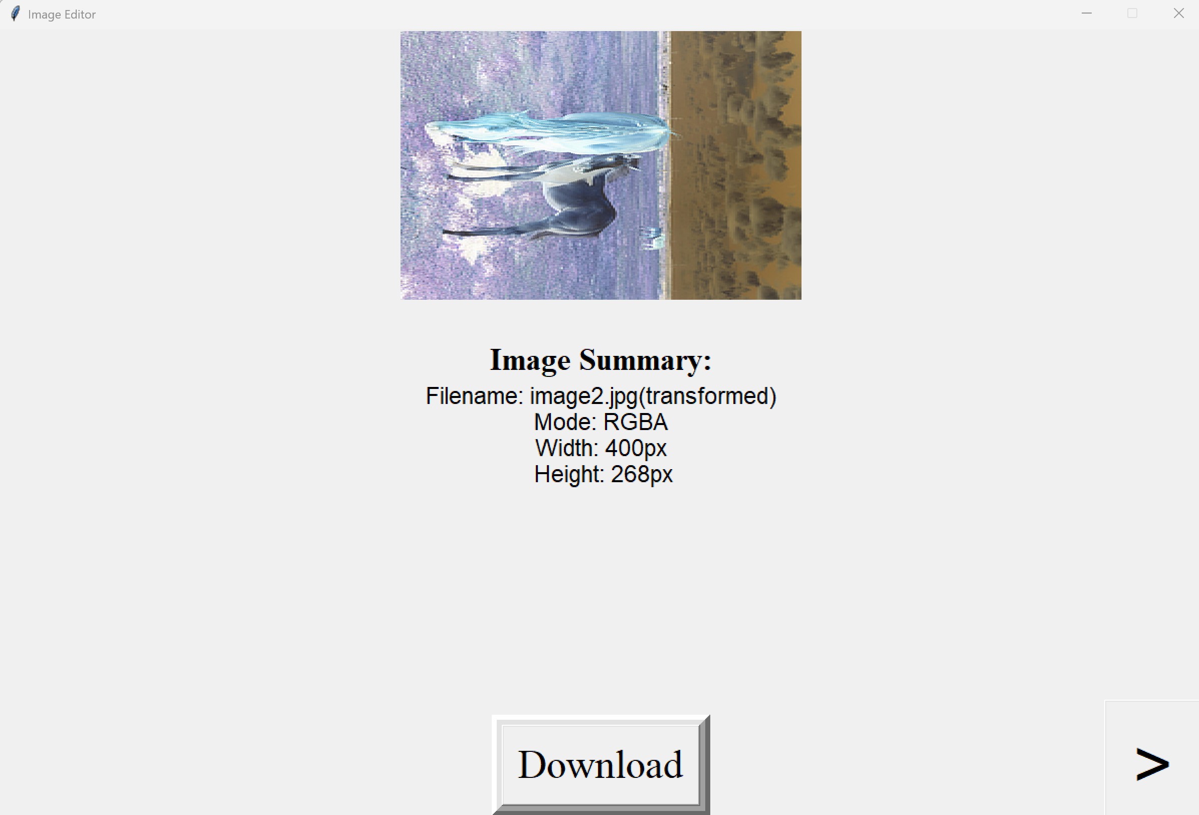 Image Editor Download Screen