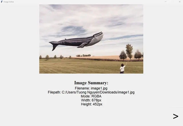 Image Editor Image Summary Screen