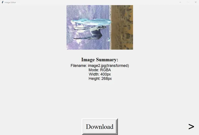 Image Editor Download Screen