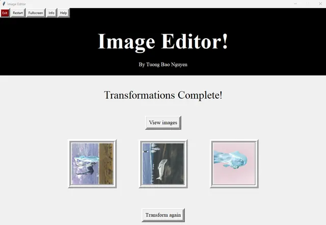 Image Editor Transformed Screen